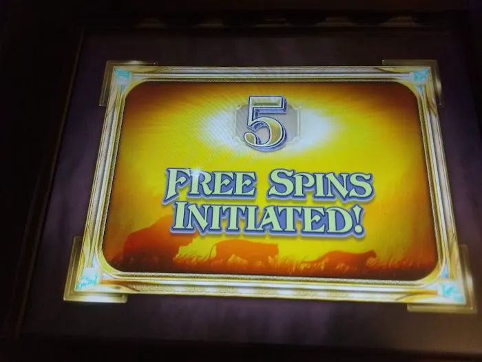 Dotty's Casino 6