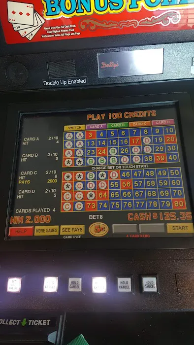 Dotty's Casino 7