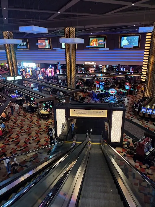 The Pleasure Pit at Planet Hollywood 2