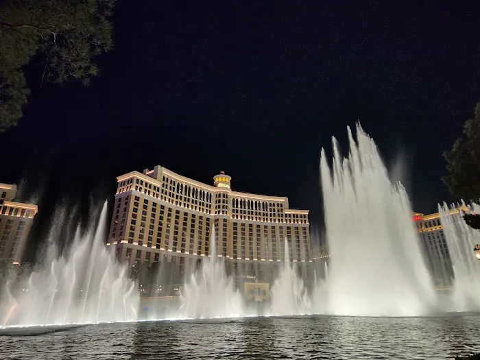 BetMGM Sportsbook at Bellagio 2