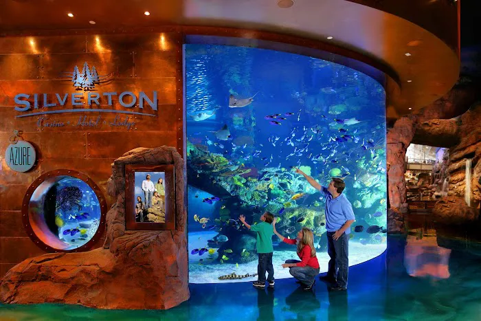 Silverton Casino Lodge 4
