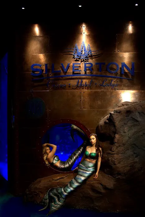 Silverton Casino Lodge 9