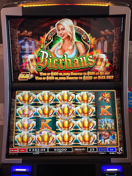 Daisy’s SLOTS & Video Gaming Cafe 4