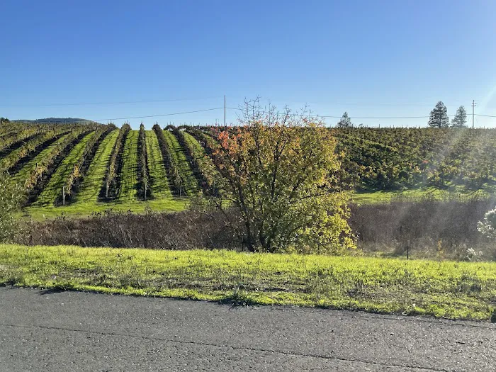 Napa Valley Casino 3